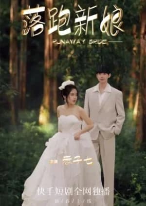 Recommendation: Runaway Bride similar to Love Wave