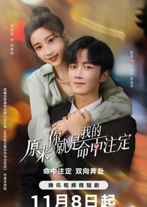 Recommendation: You Are My Destiny (2024) similar to Stealth