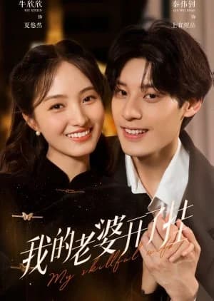 Recommendation: My Skillful Wife similar to Professional Single