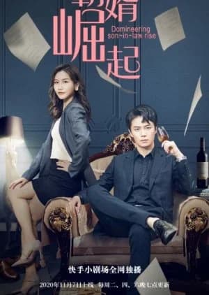 Recommendation: Domineering Son-in-Law Rise similar to Twilight