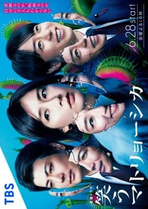 Recommendation: Warau Matryoshka similar to Trolley