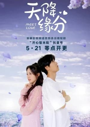 Recommendation: Meet Love (2024) similar to Socialite