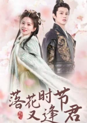 Recommendation: Luo Hua Shi Jie You Feng Jun Zhi similar to Untouchable Lovers