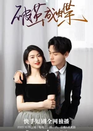 Recommendation: Po Jian Cheng Die similar to Billion Storm (2024)