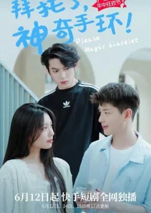 Recommendation: Please Magic Bracelet similar to Workplace Newbie