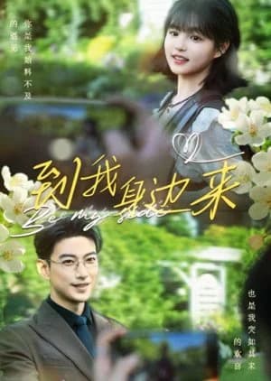 Recommendation: Come to Me similar to Xing Guang Bu Ji Ta Yao Yan