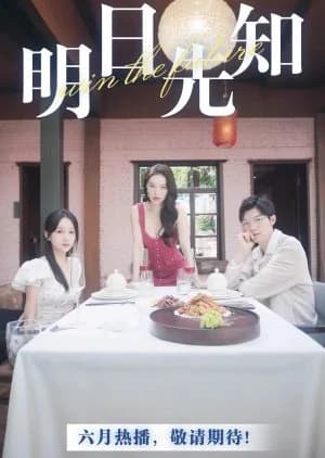 Recommendation: Win the Future (2024) similar to Socialite