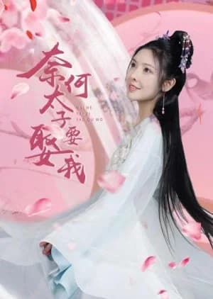 Recommendation: Nai He Tai Zi Yao Qu Wo similar to She Comes from Roc