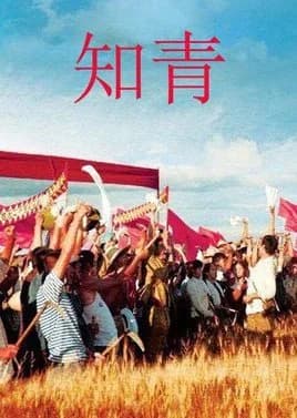 Recommendation: Youth (2012) similar to Wang Zhao Jun