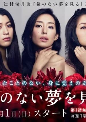 Recommendation: Kagi no nai Yume wo Miru similar to Summer Rescue