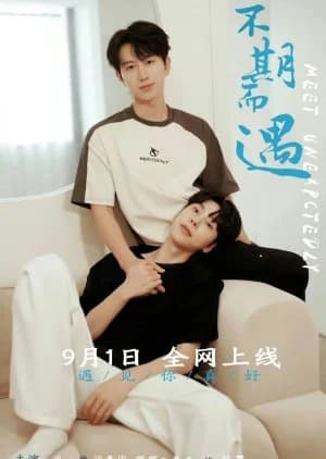 Recommendation: Meet Unexpectedly similar to Let Me into Your Heart