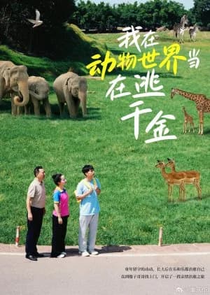 Recommendation: Wo Zai Dong Wu ShiJie Dang Zai Tao Qian Jin similar to Panda & You Rolling In