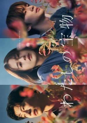 Recommendation: Watashi no Takaramono similar to Subscription Furin