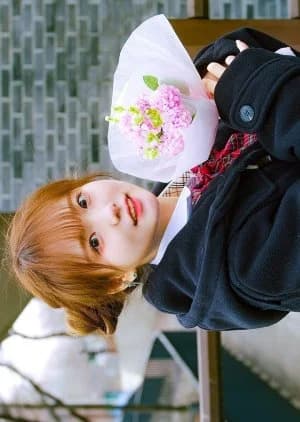 Recommendation: Japanese Transfer Student similar to Breathtaking