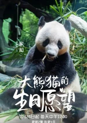 Recommendation: Da Xiong Mao De Sheng Ri Yuan Wang similar to Calm Down