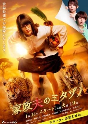 Recommendation: Kaseifu no Mitazono Season 7 similar to Kaseifu no Mitazono Season 6