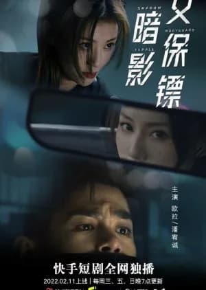 Recommendation: Shadow Female Bodyguard similar to She Knows (2025)