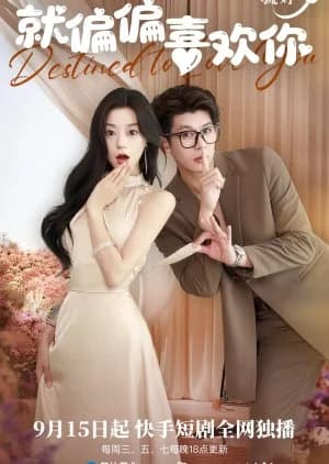 Destined to Love You (2024) - Asian drama recommendation