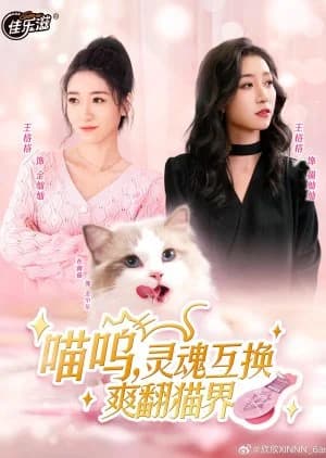 Recommendation: Miao Wu, Ling Hun Hu Huan Shuang Fan Mao Jie similar to Palace of Serendipity