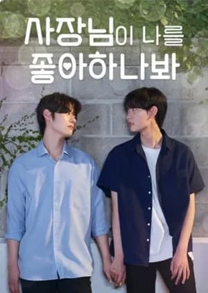 Falling for My Boss - Asian drama recommendation