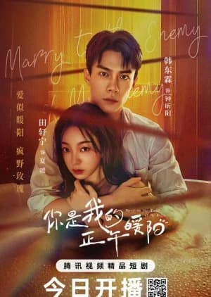 Recommendation: Marry to the Enemy of My Enemy similar to My Knight Boyfriend