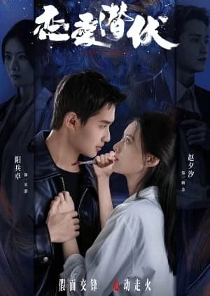 Recommendation: Love Lurking similar to Undercover Affair