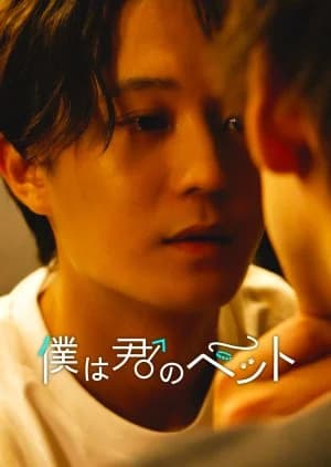 Recommendation: I'm Your Pet similar to Something More than Brothers