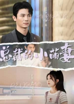 Recommendation: Zong Cai De Xiao Meng Qi similar to Deep Love (2024)