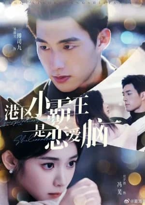 Recommendation: Gang Qu Xiao Ba Wang Shi Lian Ai Nao similar to Hide Day and Night