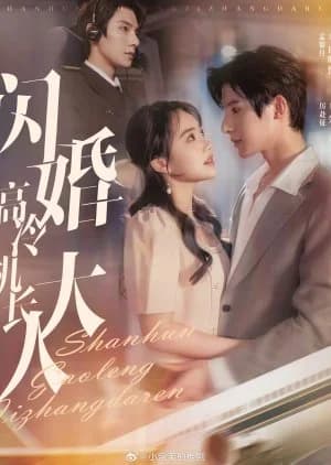 Recommendation: Shan Hun Gao Leng Ji Zhang Da Ren similar to An Deng Wei Ming