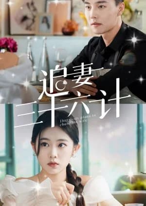 Recommendation: Thirty Six Plans to Chase His Wife similar to Cheng Nan Hua Zheng Kai