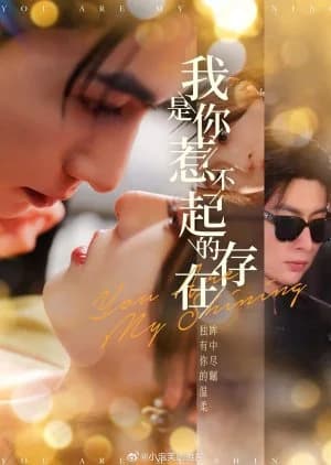 Recommendation: You Are My Shining similar to The Replacement Bride and Her Overbearing CEO Husband