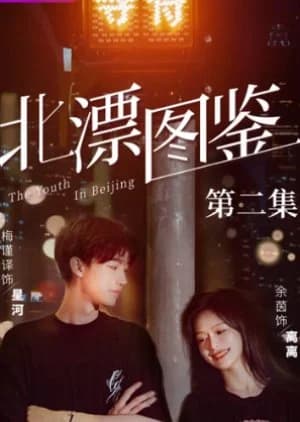 Recommendation: The Youth in Beijing similar to Fang Yang Ba Lao Ban