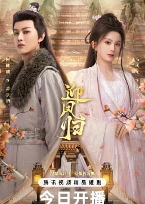 Recommendation: She Is the Phoenix similar to Bright Eyes