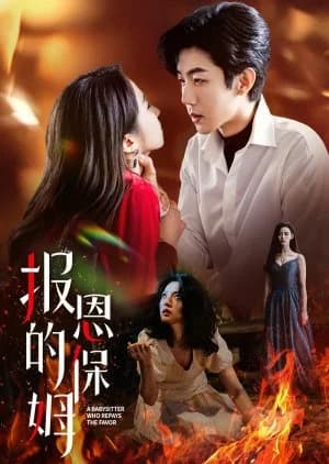 Recommendation: Payback Nanny similar to Marital Disaster (2024)