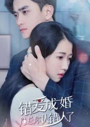 Recommendation: Marriage Due to Wrong Love: Mr. Lu, You Have the Wrong Person similar to Daddy, I Found Mommy