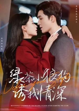 Recommendation: Define Your Style (2024) similar to Love Is the Only Eternity (2025)