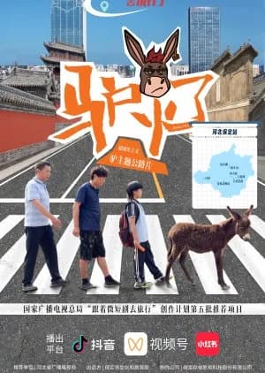 Recommendation: Donkey Star similar to Blanket Cats