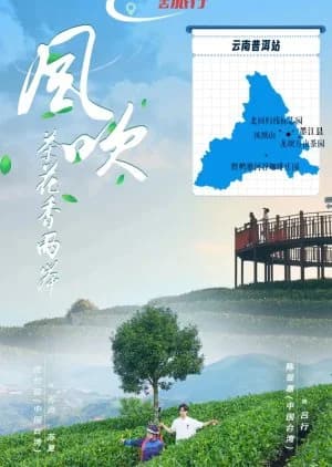 Recommendation: Feng Chui Cha Hua Xiang Liang An similar to Di Liu Zhi Xing Shi