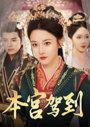 Recommendation: Ben Gong Jia Dao similar to In the Name of Loyalty