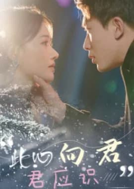 Recommendation: Ci Xin Xiang Jun Jun Ying Shi similar to Protect My King