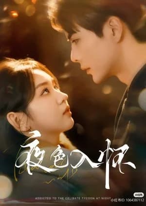 Addicted to the Celibate Tycoon at Night - Asian drama recommendation