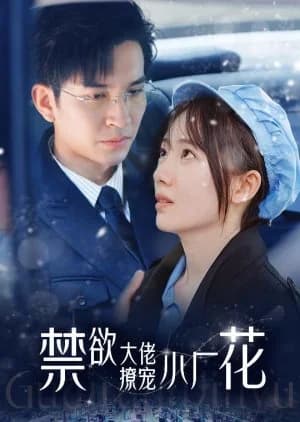 Recommendation: Jin Yu Da Lao Kuang Liao Xiao Chang Hua similar to Sensei ni Koishita Natsu