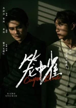 Caged Bird (2025) - Asian drama recommendation