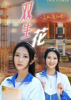 Recommendation: Shuang Sheng Hua similar to Wakaba