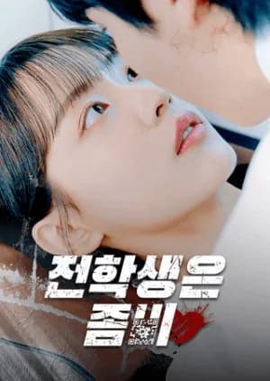 Recommendation: Crush on Zombie similar to Love Miss