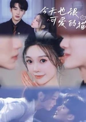 Recommendation: Jin Tian Ye Hen Ke Ai De Mao similar to Missing Love Confession