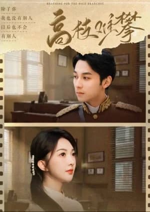 Reaching for the High Branches - Asian drama recommendation