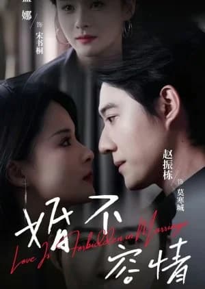 Love Is Forbidden in Marriage - Asian drama recommendation