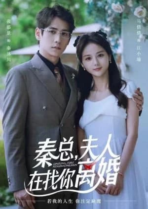 Qin Zong Fu Ren Zai Zhao Ni Li Hun - Asian drama recommendation